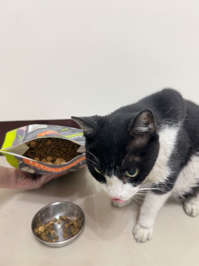 [寵物]美國原點Instinct【健康體態低脂雞肉凍乾成貓配